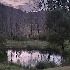 So Good Farm Stay - The Cabin