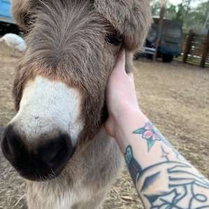 The Hamptons Rescue Farm
