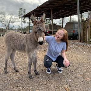 The Hamptons Rescue Farm