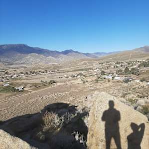 Juniper Shade