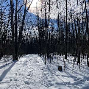 Bundo's Cabin in the Woods