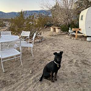 Off-Grid Shaded Desert Oasis