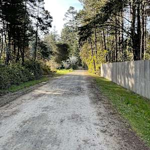Nice laneway for a morning walk