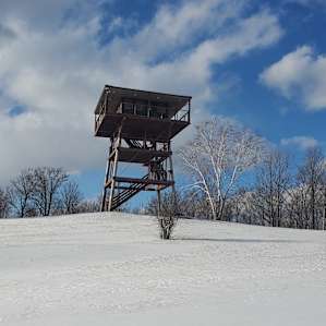 Slateville Retreat ~ Tower & Cabin