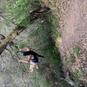 Swing on upper trail