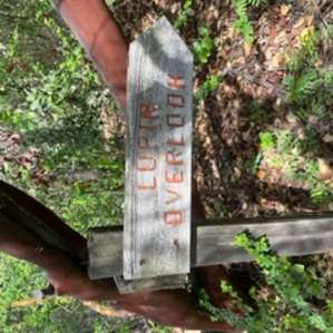 Hike to overlook