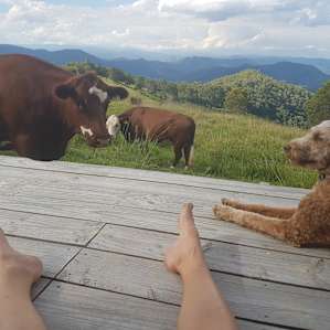 Mountain Top Shack