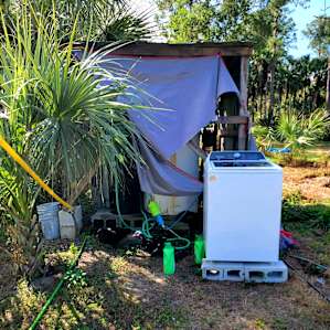 Swamp Cabbage Camp