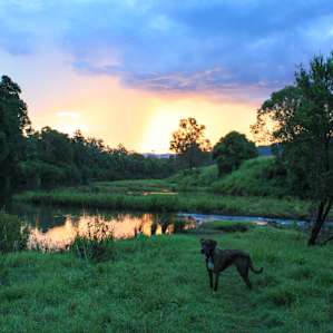 The river at sunset😍