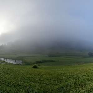 Fresh morning