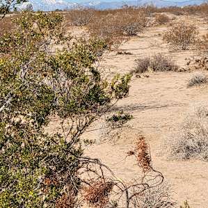 Surrounding landscape
