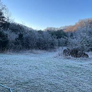 Cold and frosty but gorgeous!