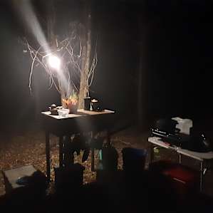 Suwannee Primitive Camper/Van Site
