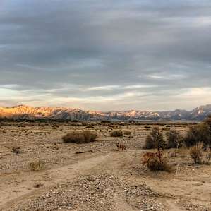 Walking through the flats of Los Padres that border the campsite