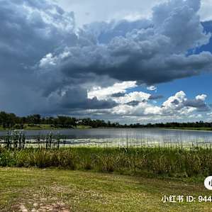 Site 29 - Bush Camping Site