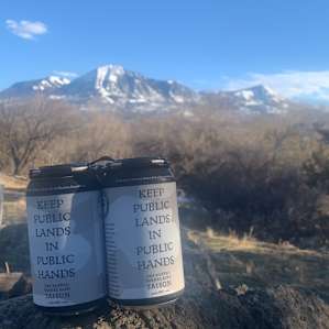 Bus with a View at Sage View Ranch
