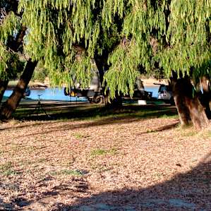 Forest Sites- Spring Waters Estate