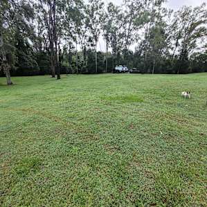 Amazing manicured grounds