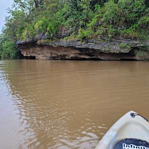 Paddling on Orara River