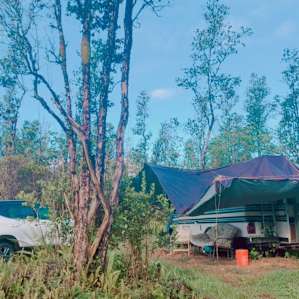 Site 3-Ohia Forest