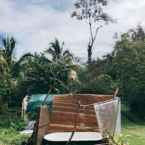 Site 3-Ohia Forest