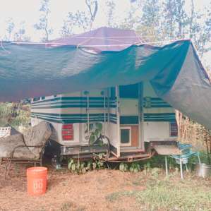 Site 3-Ohia Forest