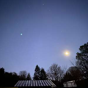 Camping at Carsner Tree Farm