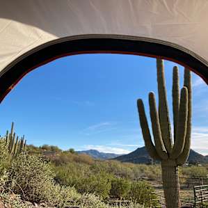 Morning view from tent of beautiful Sonoran desert