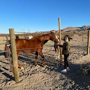 El Dorado Glamping with Horses