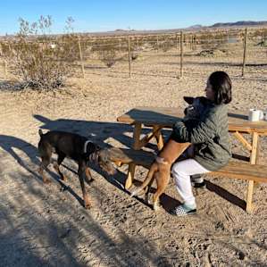 El Dorado Glamping with Horses
