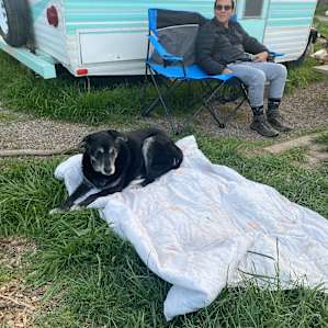 One on the farm dogs