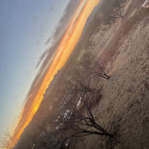 Rancho del Nido RV Horse Camp