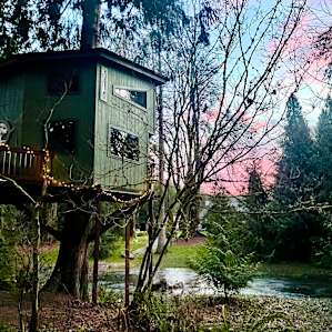 Treehouse with Panoramic Views
