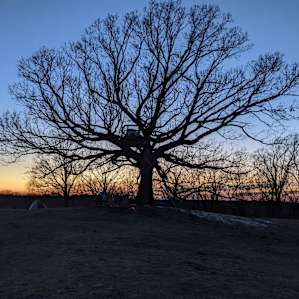 Big Oak Treehouse