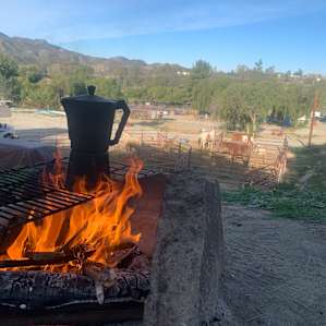 Saddle Up Ranch Site 2