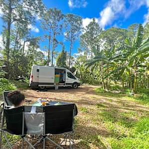 Camp in a Food Forest - Site 2