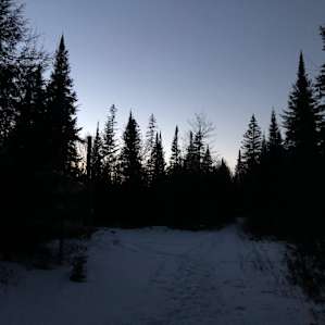 Sunset was lovely. My phone camera wasn't able to take a pic of the night sky, but once the clouds cleared the star viewing was fantastic. Dusk brought barred owl calls, plus some other birds I couldn't identify. Plenty of assorted animal tracks in the woods.