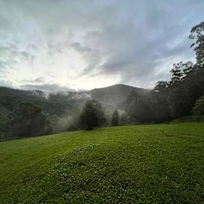 Misty Mountain.