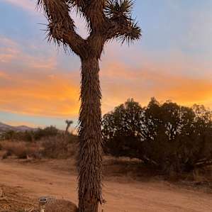 Basecamp 138 Desert Ranch