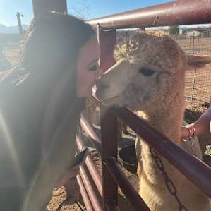 Camping? Alpaca my bags