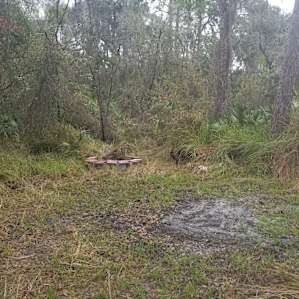 Sandy Bottom River Retreat