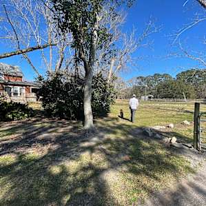 Green Woods Stables RV Park