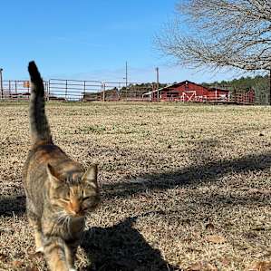RV Boondocking on a Farm