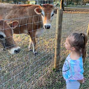 Serene farm stay on Bell Oaks Ranch
