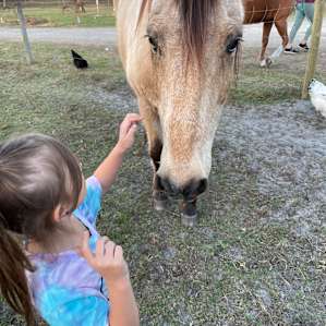 Serene farm stay on Bell Oaks Ranch