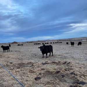 Uberland Prairie RV Camping