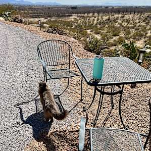 The Roadrunner RVer Refuge