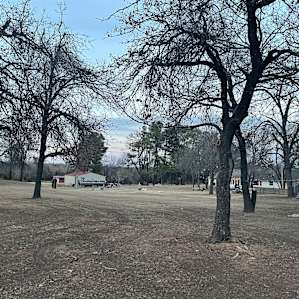 Lovely, flat camping area.