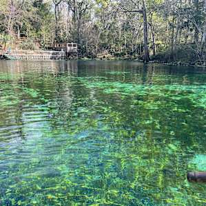 The springs are beautiful