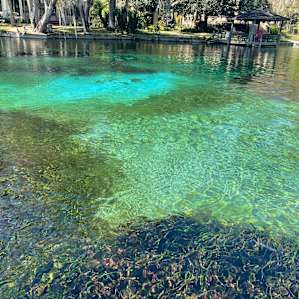 Paradise Park River Retreat